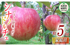 りんご シナノドルチェ 家庭用 5kg ヤマウラ農園 沖縄県への配送不可 2025年9月中旬頃から2025年9月下旬頃まで順次発送予定 令和7年度収穫分 信州 果物 フルーツ リンゴ 林檎 長野 14500円 予約 農家直送 長野県 飯綱町 [1576]