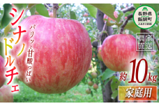 りんご シナノドルチェ 家庭用 10kg ヤマウラ農園 2025年9月中旬頃から2025年9月下旬頃まで順次発送予定 令和7年度収穫分 信州 果物 フルーツ リンゴ 林檎 長野 22500円 予約 農家直送 長野県 飯綱町 [1577]