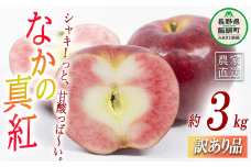 りんご なかの真紅 訳あり 3kg ヤマウラ農園 沖縄県への配送不可 2023年10月上旬頃から2023年10月中旬頃まで順次発送予定 令和5年度収穫分 傷 不揃い リンゴ 林檎 果物 フルーツ 信州 長野 12500円 予約 農家直送 長野県 飯綱町 [1578]