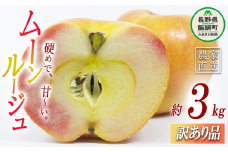 りんご ムーンルージュ 訳あり 3kg ヤマウラ農園 沖縄県への配送不可 2025年11月上旬頃から2025年11月中旬頃まで順次発送予定 令和7年度収穫分 傷 不揃い リンゴ 林檎 果物 フルーツ 信州 長野 14000円 予約 農家直送 長野県 飯綱町 [1582]
