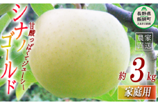 りんご シナノゴールド 家庭用 3kg ヤマウラ農園 沖縄県への配送不可 2025年11月上旬頃から2025年11月下旬頃まで順次発送予定 令和7年度収穫分 信州 果物 フルーツ リンゴ 林檎 長野 11500円 予約 農家直送 長野県 飯綱町 [1583]