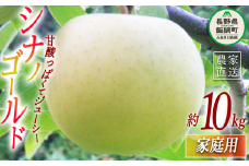 りんご シナノゴールド 家庭用 10kg ヤマウラ農園 2025年11月上旬頃から2025年11月下旬頃まで順次発送予定 令和7年度収穫分 信州 果物 フルーツ リンゴ 林檎 長野 22500円 予約 農家直送 長野県 飯綱町 [1585]