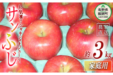 りんご サンふじ 家庭用 3kg ヤマウラ農園 沖縄県への配送不可 2025年11月下旬頃から2025年12月上旬頃まで順次発送予定 令和7年度収穫分 信州 果物 フルーツ リンゴ 林檎 長野 11500円 予約 農家直送 長野県 飯綱町 [1586]
