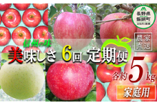 旬のりんご 【 定期便 】 家庭用 5kg × 6回 ヤマウラ農園 沖縄県への配送不可 2025年8月中旬頃から2025年12月中旬頃まで順次発送予定 令和7年度収穫分 信州 果物 フルーツ リンゴ 林檎 長野 87000円 予約 農家直送 長野県 飯綱町 [1590]