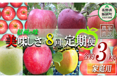 旬のりんご 【 定期便 】 家庭用 3kg × 8回 ヤマウラ農園 沖縄県への配送不可 2025年8月中旬頃から2025年12月中旬頃まで順次発送予定 令和7年度収穫分 信州 果物 フルーツ リンゴ 林檎 長野 96000円 予約 農家直送 長野県 飯綱町 [1592]