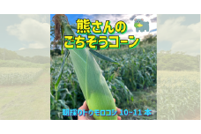 【 冷蔵 クール 】 朝採り トウモロコシ 熊さんのごちそうコーン 10本 ～ 11本 品種 ゴールドラッシュ TAMAI WINE 配送先は本州限定 2025年8月上旬頃から2025年8月下旬頃まで順次発送予定 令和7年度収穫分 信州 野菜 とうもろこし コーン 長野 12500円 予約 農家直送 長野県 飯綱町 [1625]