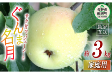 りんご ぐんま名月 家庭用 3kg 丸山りんご園 沖縄県への配送不可 2025年11月上旬頃から2025年12月上旬頃まで順次発送予定 令和7年度収穫分 信州 果物 フルーツ リンゴ 林檎 長野 11000円 予約 農家直送 長野県 飯綱町 [1633]