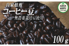 自家焙煎 コーヒー豆 100g 消灯珈琲 自家栽培 無農薬栽培豆使用 ネコポスにてお届け 信州 飲料 珈琲 コーヒー 豆 珈琲豆 焙煎 無農薬 オーガニック 長野 店舗直送 ネコポス 4000円 長野県 飯綱町 [1607]