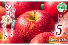 りんご シナノスイート 家庭用 〜 訳あり 5kg エバラ農園 減農薬栽培 沖縄県への配送不可 2025年10月中旬頃から2025年11月下旬頃まで順次発送予定 令和7年度収穫分 信州 果物 フルーツ リンゴ 林檎 長野 12500円 予約 農家直送 長野県 飯綱町 [1631]
