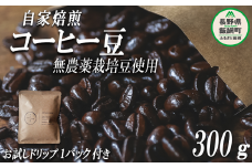 自家焙煎 コーヒー豆 300g ( お試し ドリップバッグコーヒー 1パック付き ) 消灯珈琲 自家栽培 無農薬栽培豆使用 ネコポスにてお届け 信州 飲料 珈琲 コーヒー 豆 珈琲豆 焙煎 無農薬 オーガニック 長野 店舗直送 ネコポス 10000円 長野県 飯綱町  [1609]