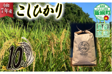 米 こしひかり 10kg ( 令和7年産 ) ファームトヤ 2025年10月上旬頃から順次発送予定 コシヒカリ 白米 精米 お米 信州 32000円 予約 農家直送 長野県 飯綱町 [1610]