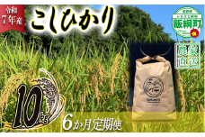 米 こしひかり 10kg × 6回 【 6か月 定期便 】( 令和7年産 ) ファームトヤ 2025年10月上旬頃から順次発送予定 コシヒカリ 白米 精米 お米 信州 192000円 予約 農家直送 長野県 飯綱町 [1611]