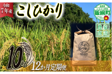 米 こしひかり 10kg × 12回 【 12か月 定期便 】( 令和7年産 ) ファームトヤ  2025年10月上旬頃から順次発送予定 コシヒカリ 白米 精米 お米 信州 384000円 予約 農家直送 長野県 飯綱町 [1612]