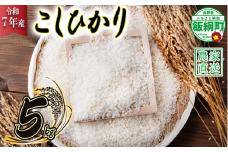 米 こしひかり 5kg ( 令和7年産 ) ヤマハチ農園 沖縄県への配送不可 2025年11月上旬頃から順次発送予定 コシヒカリ 白米 精米 お米 信州 14000円 予約 農家直送 長野県 飯綱町 [1615]
