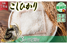 米 こしひかり 5kg × 3回 【 3か月 定期便 】( 令和7年産 ) ヤマハチ農園 沖縄県への配送不可 2025年11月上旬頃から順次発送予定 コシヒカリ 白米 精米 お米 信州 42000円 予約 農家直送 長野県 飯綱町 [1616]