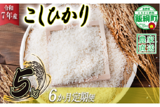 米 こしひかり 5kg × 6回 【 6か月 定期便 】( 令和7年産 ) ヤマハチ農園 沖縄県への配送不可 2025年11月上旬頃から順次発送予定 コシヒカリ 白米 精米 お米 信州 84000円 予約 農家直送 長野県 飯綱町 [1617]