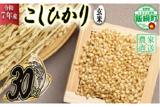 米 こしひかり ( 玄米 ) 30kg ( 令和7年産 ) ヤマハチ農園 2025年11月上旬頃から順次発送予定 コシヒカリ 玄米 お米 信州 54500円 予約 農家直送 長野県 飯綱町 [1619]