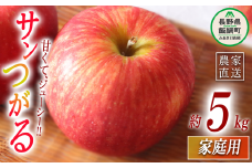 りんご サンつがる 家庭用 5kg マルハ農園 沖縄県への配送不可 2025年9月上旬頃から2025年9月下旬頃まで順次発送予定 令和7年度収穫分 エコファーマー認定 信州 果物 フルーツ リンゴ 林檎 長野 13000円 予約 農家直送 長野県 飯綱町 [1620]