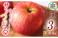 りんご サンつがる 秀～特秀3kg マルハ農園 沖縄県への配送不可 2025年9月上旬頃から2025年9月下旬頃まで順次発送予定 令和7年度収穫分 エコファーマー認定 信州 果物 フルーツ リンゴ 林檎 長野 12000円 予約 農家直送 長野県 飯綱町 [1621]