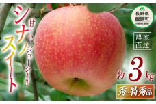 りんご シナノスイート 秀～特秀3kg マルハ農園 沖縄県への配送不可 2025年10月上旬頃から2025年11月上旬頃まで順次発送予定 令和7年度収穫分 エコファーマー認定 信州 果物 フルーツ リンゴ 林檎 長野 12000円 予約 農家直送 長野県 飯綱町 [1624]