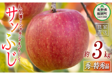 りんご サンふじ 秀 〜 特秀 3kg マルハ農園 沖縄県への配送不可 2025年12月上旬頃から2025年12月下旬頃まで順次発送予定 令和7年度収穫分 エコファーマー認定 信州 果物 フルーツ リンゴ 林檎 長野 13000円 予約 農家直送 長野県 飯綱町 [1636]