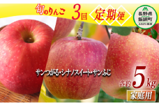 旬のりんご 【 定期便 】 家庭用 5kg × 3回 マルハ農園 沖縄県への配送不可 2025年9月上旬から2025年12月下旬まで順次発送予定 令和7年度収穫分 エコファーマー認定 信州 果物 フルーツ リンゴ 林檎 長野 39000円 予約 農家直送 長野県 飯綱町 [1640]