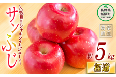 りんご サンふじ 極選 5kg マルハ農園 2025年12月上旬頃から2025年12月下旬頃まで順次発送予定 令和7年度収穫分 エコファーマー認定 信州 果物 フルーツ リンゴ 林檎 長野 21500円 予約 農家直送 長野県 飯綱町 [1639]