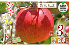 りんご シナノスイート 秀 ～ 特秀 3kg 町田さんちのりんご 沖縄県への配送不可 2025年10月中旬頃から2025年11月下旬頃まで順次発送予定 信州 果物 フルーツ リンゴ 林檎 長野 12000円 予約 農家直送 [1714]