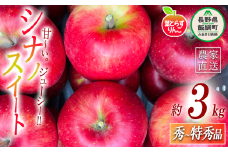 りんご 葉とらず シナノスイート 秀 〜 特秀 3kg フレッシュフルーツミカズキ 沖縄県への配送不可 2025年10月中旬頃から2025年10月下旬頃まで順次発送予定 令和7年度収穫分 信州 果物 フルーツ リンゴ 林檎 長野 18500円 予約 農家直送 長野県 飯綱町 [1647]