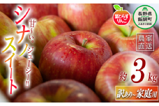 りんご 葉とらず シナノスイート 家庭用 〜 訳あり 3kg フレッシュフルーツミカズキ 沖縄県への配送不可 2025年10月中旬頃から2025年10月下旬頃まで順次発送予定 令和7年度収穫分 傷 不揃い リンゴ 林檎 果物 フルーツ 信州 長野 12000円 予約 農家直送 長野県 飯綱町 [1650]