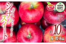 りんご 葉とらず シナノスイート 秀 〜 特秀 10kg フレッシュフルーツミカズキ 2025年10月中旬頃から2025年10月下旬頃まで順次発送予定 令和7年度収穫分 信州 果物 フルーツ リンゴ 林檎 長野 43500円 予約 農家直送 長野県 飯綱町 [1649]