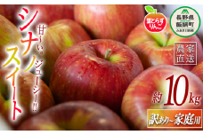 りんご 葉とらず シナノスイート 家庭用 〜 訳あり 10kg フレッシュフルーツミカズキ 2025年10月中旬頃から2025年10月下旬頃まで順次発送予定 令和7年度収穫分 傷 不揃い リンゴ 林檎 果物 フルーツ 信州 長野 28500円 予約 農家直送 長野県 飯綱町 [1652]