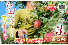 【 フレッシュ便 / 採れたて発送 】 りんご 葉とらず シナノスイート 秀 〜 特秀 3kg フレッシュフルーツミカズキ 2025年10月中旬頃から2025年10月下旬頃まで順次発送予定 令和7年度収穫分 信州 果物 フルーツ リンゴ 林檎 長野 20500円 予約 農家直送 長野県 飯綱町 [1653]