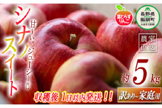 【 フレッシュ便 / 採れたて発送 】 りんご 葉とらず シナノスイート 家庭用 〜 訳あり 5kg フレッシュフルーツミカズキ 沖縄県への配送不可 2025年10月中旬頃から2025年10月下旬頃まで順次発送予定 令和7年度収穫分 傷 不揃い リンゴ 林檎 果物 フルーツ 信州 長野 18500円 予約 農家直送 長野県 飯綱町 [1657]