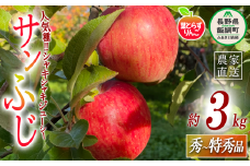りんご 葉とらず サンふじ 秀 〜 特秀 3kg フレッシュフルーツミカズキ 沖縄県への配送不可 2025年11月下旬頃から2026年1月下旬頃まで順次発送予定 令和7年度収穫分 信州 果物 フルーツ リンゴ 林檎 長野 18500円 予約 農家直送 長野県 飯綱町 [1664]