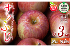 りんご 葉とらず サンふじ 家庭用 〜 訳あり 3kg フレッシュフルーツミカズキ 沖縄県への配送不可 2025年11月下旬頃から2026年1月下旬頃まで順次発送予定 令和7年度収穫分 傷 不揃い リンゴ 林檎 果物 フルーツ 信州 長野 12000円 予約 農家直送 長野県 飯綱町 [1667]