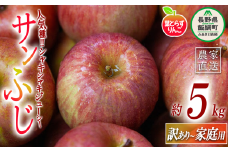 りんご 葉とらず サンふじ 家庭用 〜 訳あり 5kg フレッシュフルーツミカズキ 沖縄県への配送不可 2025年11月下旬頃から2026年1月下旬頃まで順次発送予定 令和7年度収穫分 傷 不揃い リンゴ 林檎 果物 フルーツ 信州 長野 17000円 予約 農家直送 長野県 飯綱町 [1668]