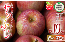 りんご 葉とらず サンふじ 家庭用 〜 訳あり 10kg フレッシュフルーツミカズキ 2025年11月下旬頃から2026年1月下旬頃まで順次発送予定 令和7年度収穫分 傷 不揃い リンゴ 林檎 果物 フルーツ 信州 長野 28500円 予約 農家直送 長野県 飯綱町 [1669]
