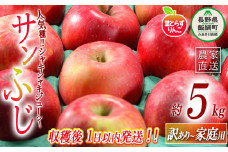 【 フレッシュ便 / 採れたて発送 】 りんご 葉とらず サンふじ 訳あり 5kg フレッシュフルーツミカズキ 沖縄県への配送不可 2025年11月中旬頃から2025年11月下旬頃まで順次発送予定 令和7年度収穫分 傷 不揃い リンゴ 林檎 果物 フルーツ 信州 長野 18500円 予約 農家直送 長野県 飯綱町 [1674]