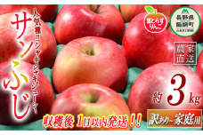 【 フレッシュ便 / 採れたて発送 】 りんご 葉とらず サンふじ 家庭用 〜 訳あり 3kg フレッシュフルーツミカズキ 沖縄県への配送不可 2025年11月中旬頃から2025年11月下旬頃まで順次発送予定 令和7年度収穫分 傷 不揃い リンゴ 林檎 果物 フルーツ 信州 長野 14000円 予約 農家直送 長野県 飯綱町 [1673]
