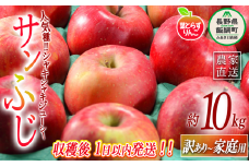 【 フレッシュ便 / 採れたて発送 】 りんご 葉とらず サンふじ 家庭用  〜 訳あり 10kg フレッシュフルーツミカズキ 2025年11月中旬頃から2025年11月下旬頃まで順次発送予定 令和7年度収穫分 傷 不揃い リンゴ 林檎 果物 フルーツ 信州 長野 30000円 予約 農家直送 長野県 飯綱町 [1675]