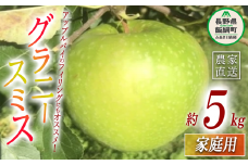 りんご グラニースミス 家庭用 5kg 丸西農園 沖縄県配送不可 2025年11月中旬頃から2026年1月上旬頃まで順次発送予定 令和7年度収穫分 特別栽培農産物 ( 除草剤 化学肥料 不使用 ) 信州 果物 フルーツ リンゴ 林檎 長野 13000円 予約 農家直送 長野県 飯綱町 [1684]