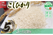 米 こしひかり 5kg × 3回 【 3か月 定期便 】( 令和7年産 ) 丸西農園 沖縄県への配送不可 2025年11月上旬頃から順次発送予定 コシヒカリ 白米 精米 お米 信州 36000円 予約 農家直送 長野県 飯綱町 [1682]