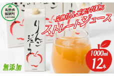 りんごジュース 1000ml × 12本 無添加 酸化防止剤不使用 果汁100% 紙パック アグリファーム小林 信州の環境にやさしい農産物認証 飲料 果汁飲料 りんご リンゴ 林檎 ジュース 信州 30500円 農家直送 長野県 飯綱町 [1697]