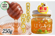 西洋みつばち の はちみつ 1瓶 250g ブンブン渋沢 沖縄県への配送不可 信州 蜂蜜 ハチミツ はちみつ ハニー 加工食品 国産 ご当地 長野 8500円 農家直送 長野県 飯綱町 [1720]