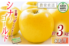 りんご シナノゴールド 家庭用 3kg 町田さんちのりんご 沖縄県への配送不可 2025年11月中旬頃から2026年2月上旬頃まで順次発送予定 令和7年度収穫分 信州 果物 フルーツ リンゴ 林檎 長野 11000円 予約 農家直送 長野県 飯綱町 [1721]
