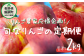 りんご農家応援企画！農家直送！旬のりんご3回定期便2kg 品種おまかせ