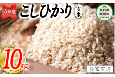 米 こしひかり 玄米 10kg ( 令和5年産 ) かざまファーマー 沖縄県への配送不可 2023年10月上旬頃から順次発送予定 コシヒカリ お米 信州 19500円 予約 農家直送 長野県 飯綱町 [1746]