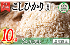 米 こしひかり 玄米 10kg × 3回 【 3か月 定期便 】( 令和5年産 ) かざまファーマー 沖縄県への配送不可 2023年10月上旬頃から順次発送予定 コシヒカリ お米 信州 58500円 予約 農家直送 長野県 飯綱町 [1747]