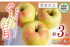 りんご ぐんま名月 家庭用 〜 秀 3kg やまじゅうファーム 沖縄県への配送不可 2025年11月下旬頃から2025年12月上旬頃まで順次発送予定 令和7年度収穫分 信州の環境にやさしい農産物 減農薬栽培 長野県 飯綱町 [1539]